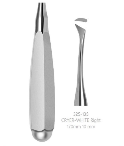 Queen  Sağ Cryer Elevatör Cryer-White 10Mm 17Cm - Q325-135E4