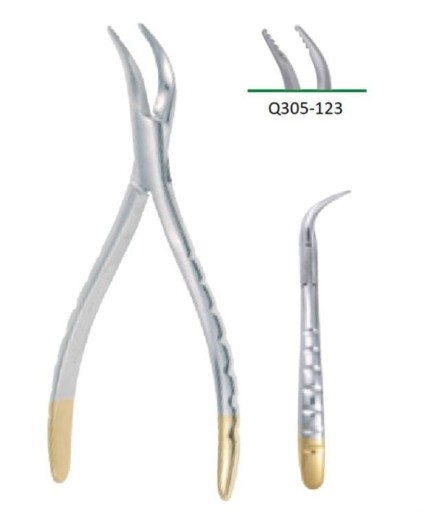 Queen  Alt Kök Davyesi Fig- 601 16Cm - Q305-123