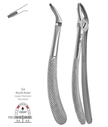 QEF227 Üst Premolar Davyesi Fig. 35 16,5Cm