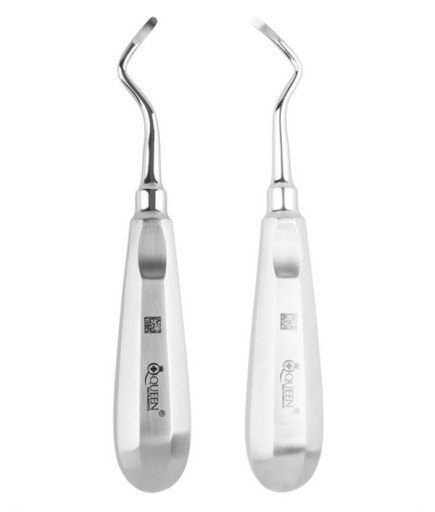 Queen+  Sağ-Sol Apekso Heidbrink Elevatör Seti 2Mm 16Cm 2 Parça-Pkt- SET00041
