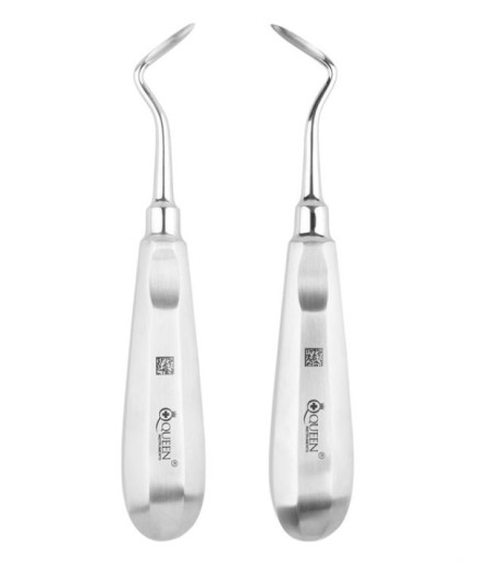 Queen+  Sağ-Sol Bien Elevatör Seti Apical 2Mm 16Cm 2 Parça-Pkt- SET00045