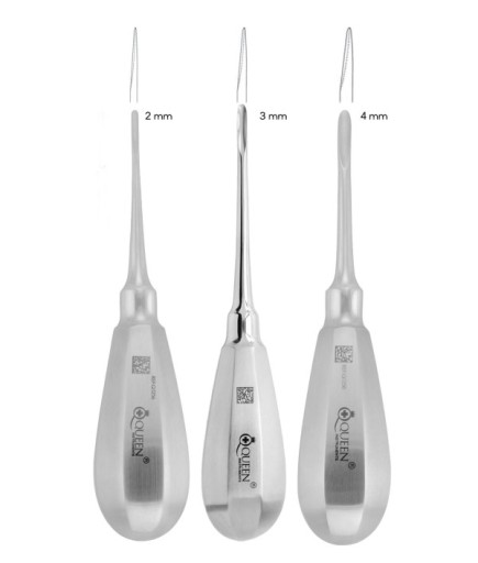 SET00030 Düz Bien Elevatör Seti Bien 2/3/4Mm 13Cm 3 Parça/Pkt