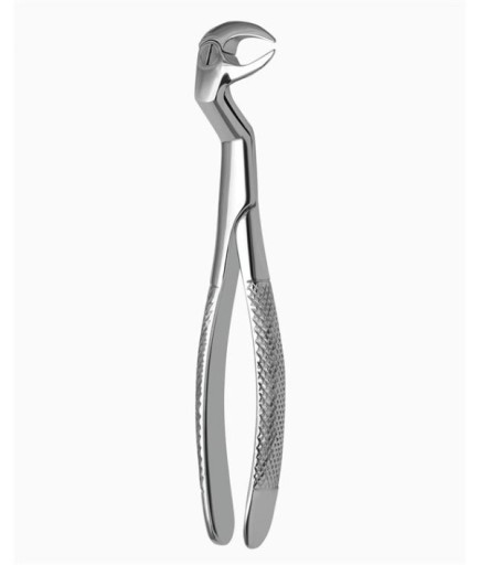 Queen  Davyesi Fig- 86 1-2 L 22 5Cm - QEFCH111