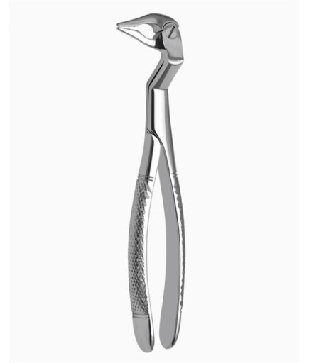 Queen  Davyesi Fig- 133 L - QEF069