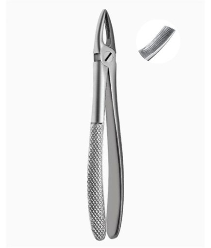 Queen  Davyesi Fig- 37 14Cm - QEFP015
