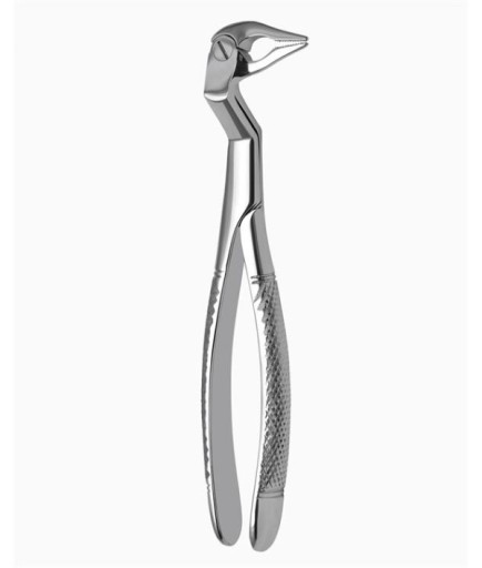 Queen  Davyesi Fig- 133 R - QEF070