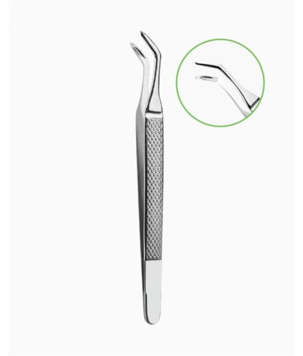 Queen  Açılı Künt Çekim Preseli Ve Kök Pensi Albrecht Fig- 2 - QET012