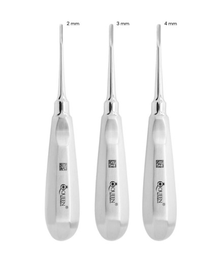 SET00029 Düz Bien Elevatör Seti Bien 2/3/4Mm 16Cm 3 Parça/Pkt