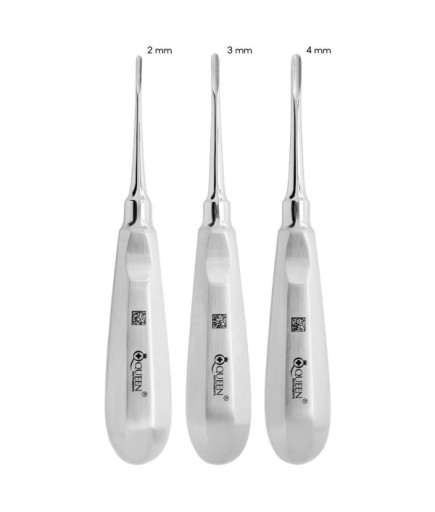 SET00031 Düz Bien Elevatör Seti Bien 2/3/4Mm 16Cm 3 Parça/Pkt