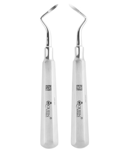 SET00058 Sağ-Sol Apekso Heidbrink Elevatör Seti Heidebrink 2Mm 14Cm 2 Parça/Pkt