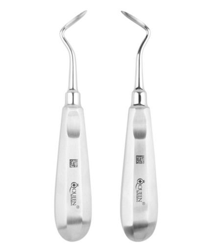 SET00045 Sağ-Sol Bien Elevatör Seti Apical 2Mm 16Cm 2 Parça/Pkt