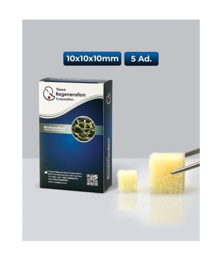 Blok Küp Greft, CANCELLOUS CUBE 1, 5Pcs