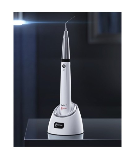 Woodpecker Endo 1 Ultrasonik Aktivatör