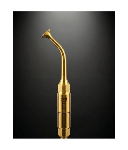 Woodpecker UL2 Piezzo Surgery - Sinüs Lifting Ucu