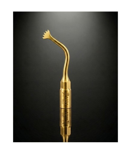 Woodpecker US1 Ultrasurgery Kemik Kesme Ucu