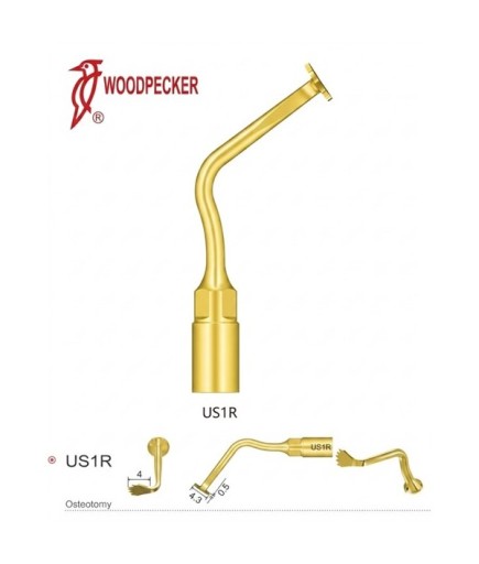 Woodpecker US1R Ultrasurgery Kemik Kesme Ucu