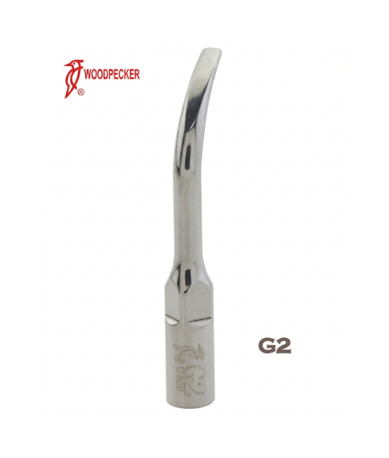 Woodpecker - DTE Kavitron Ucu Model: G2-1 Adet