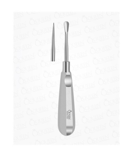 Düz Lüxatör-Bien Elevatör Lüxatör 5Mm 16Cm