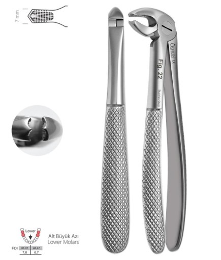 QEFLM094 Alt Molar Davyesi Fig. 22 6Mm 14Cm