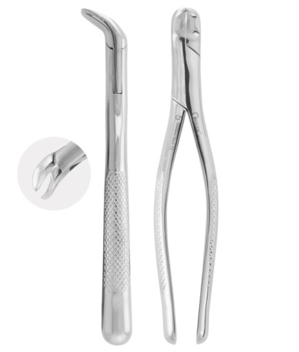 QEFAP191 Alt 20 Yaşlar Davyesi Fig.5 16,8Cm