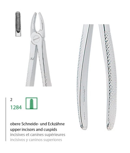 1284 Alt Molar (Furkasyon) Davyesi Fig. 2