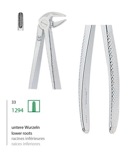 1294 Davyesi Fig. 33