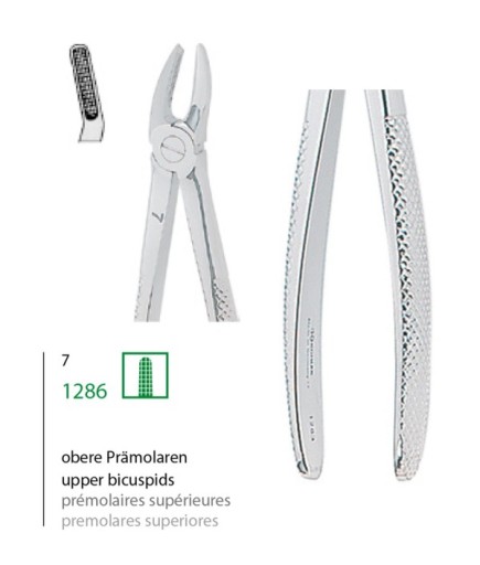 1286 Üst Premolar Davyesi Fig. 7