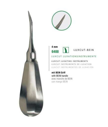 6488 Eğri Lüxatör Elevatör Bien 4Mm