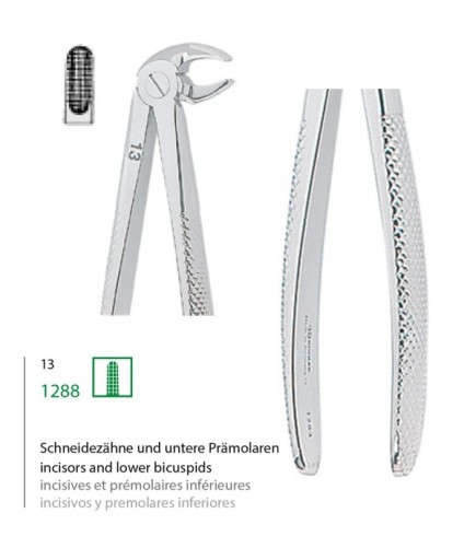 1288 Alt Premolar Davyesi Fig. 13