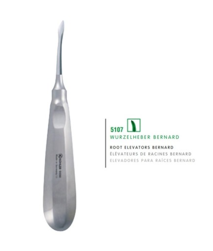 5107 Eğri Ok Uçlu Elevatör Bernard