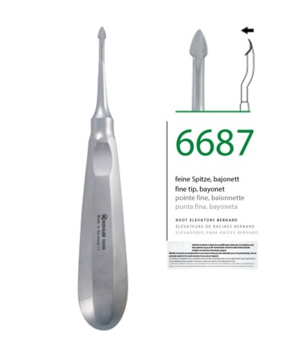 6687 20 Yaş Dişleri L ,Bayonet Distal Ok Uçlu Elevatör Bernard