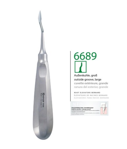 6689 20 Yaş Dişleri L ,Bayonet Mesial Ok Uçlu Elevatör Bernard