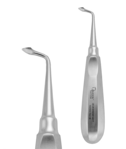 Queen  Sağ Ok Uçlu Elevatör Bernard 4Mm 15Cm - QELB12H023