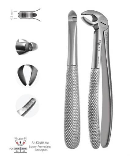 Queen  Alt Premolar Davyesi Fig- 13 4 5Mm 14Cm - QEF065