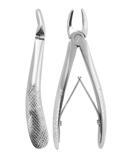 Savana  Üst Premolar Davyesi Fig- 7 11 5Cm - SEFP001