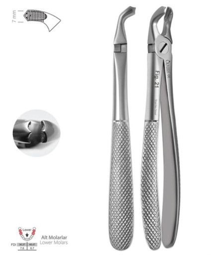 Queen  Alt 20 Yaşlar Davyesi Fig- 21 7Mm 15 4Cm - QEFLM092