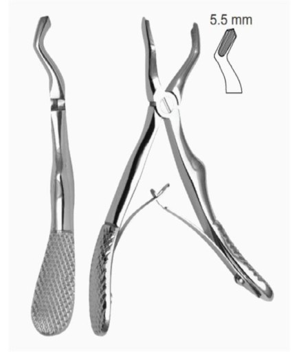 Queen Çocuk Üst Molar Davyesi Fig- 52 12 5Cm - QEFP007