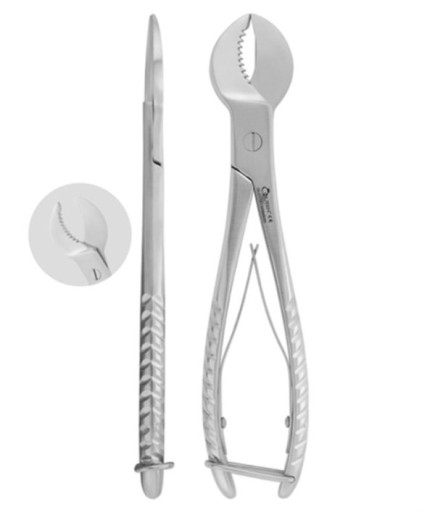 Queen  Alçı Kıracağı 20Cm - QLOTH013