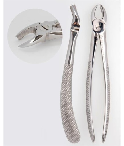 Queen  Üst Sol Molar Davyesi Fig- 90 16Cm - QEFUM075