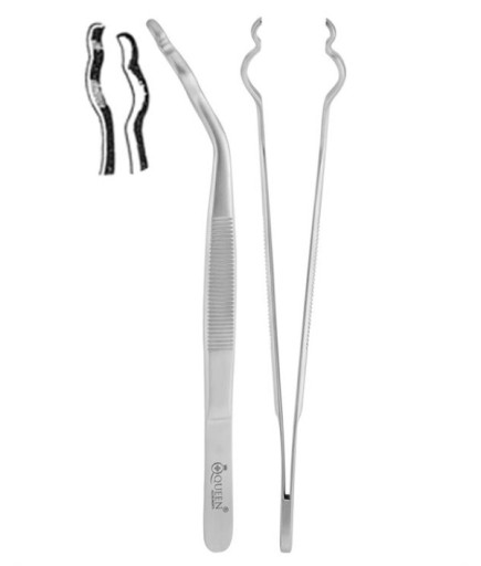 Queen+  Tepsi Ve Alet Tutucu 16Cm - Q-428-5004