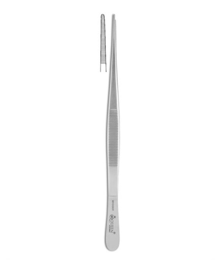 Queen+  Düz Dişsiz Penset Taylor 17 5Cm - Q-37-531