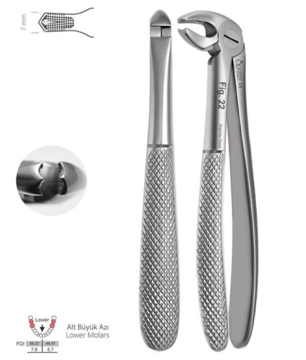 Queen  Alt Molar Davyesi Fig- 22 6Mm 14Cm - QEFLM094