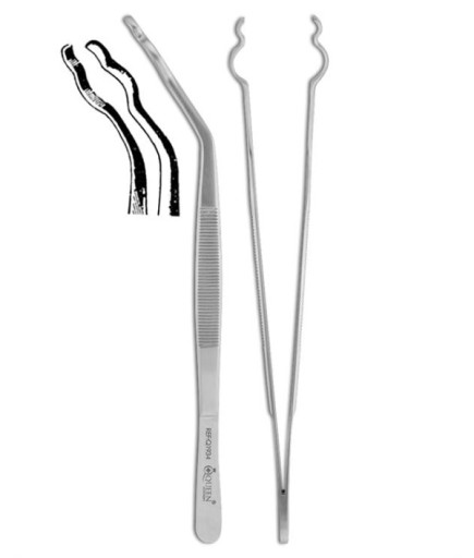 Queen+  Tepsi Ve Alet Tutucu 20Cm - Q-428-5005