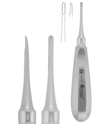 Queen+  Düz Bien Elevatör Apical Fig 301 3Mm 16Cm - 330-046-301