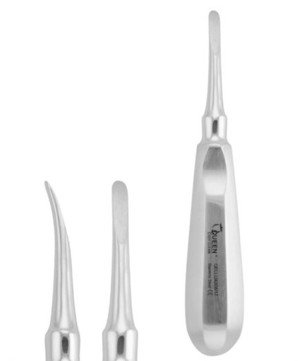Queen  Eğri Lüxatör Elevatör Lüxatör 4 5Mm 15Cm - QELLUX008