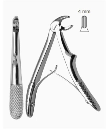 Queen Çocuk Alt Kök Davyesi Fig- 13 10 5Cm - QEFP004