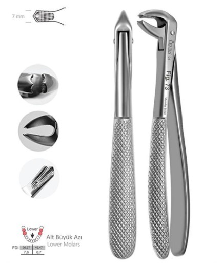 Queen  Alt Molar Davyesi Fig- 73 7Mm 14 6Cm - QEFLM088