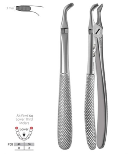 Queen  Alt Yirmi Yaşlar Davyesi Fig- 79N 16 1Cm - QEF237