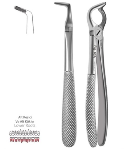Queen  Alt Kök Davyesi Fig- 68A 17Cm - QEF234