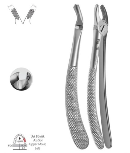 Queen Yetişkin Üst Sol Molar Davyesi Fig- 18 6 75Mm 16Cm - QEFUM071